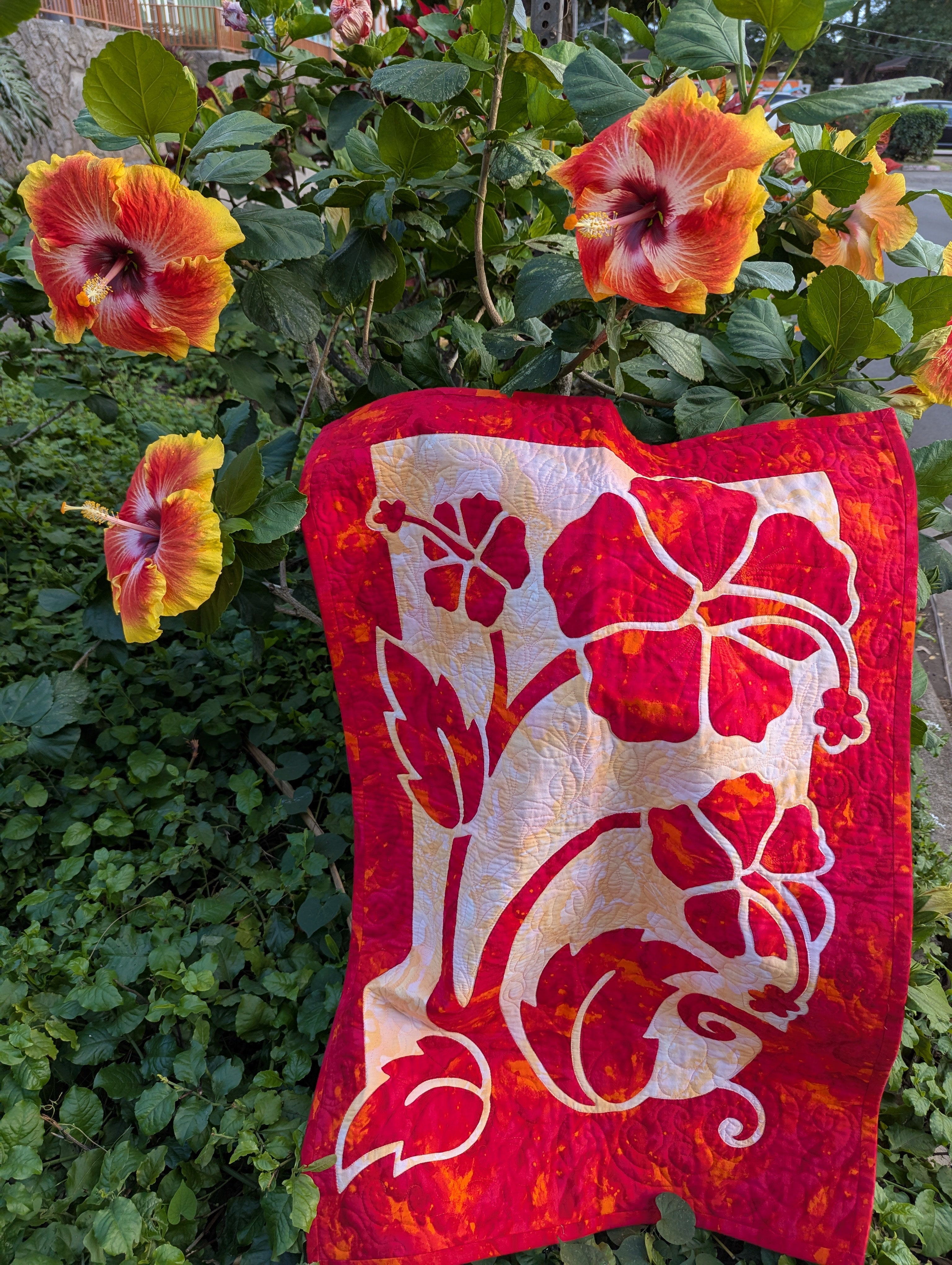 Hibiscus
