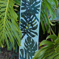 Monstera
